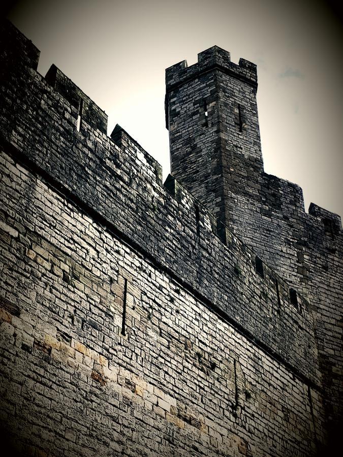 Ty Glyndwr Bunkhouse, Bar And Cafe Pansiyon Caernarfon Dış mekan fotoğraf